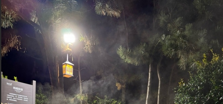 南宁桑拿探店全攻略：热门场馆实测、避坑指南及隐藏优惠一网打尽！