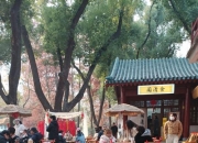 南宁品茶好去处？听过来人分享如何找到服务好又清净的茶馆