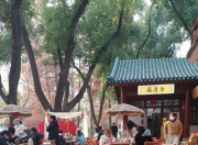 南宁品茶好去处？听过来人分享如何找到服务好又清净的茶馆