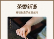 从品茶小白到资深茶客：南宁品茶心路历程全揭秘，为你推荐靠谱去处