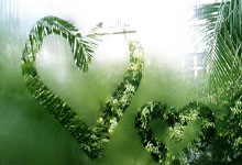 潮玩秘境！解锁南宁夜生活的多元享乐密码